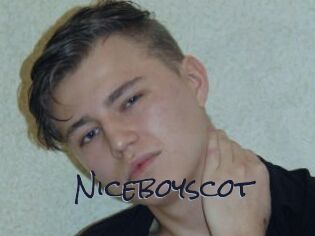 Niceboyscot