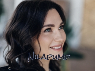 Nilapump