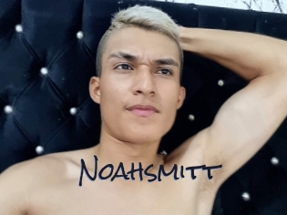 noahsmitt Liquisexxx