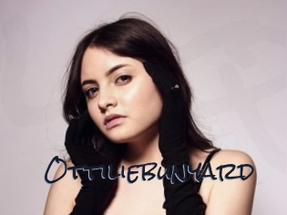 Ottiliebunyard