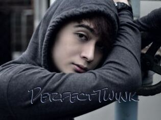 PerfectTwink