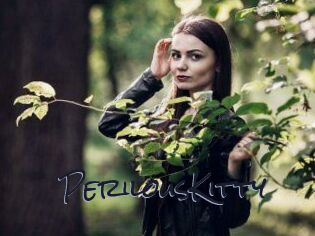 Perilous_Kitty