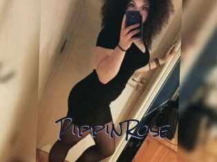 PippinRose