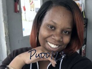 Pudd123