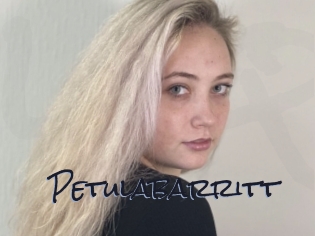 Petulabarritt