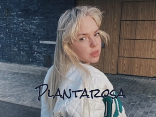 Plantarosa