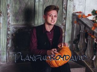 Playfulboydavid