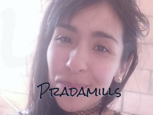Pradamills