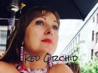 Red_Orchid