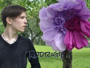 Rodrigie
