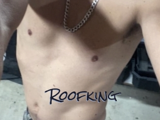 Roofking Liquisexxx