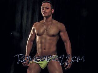 Romeobig22cm
