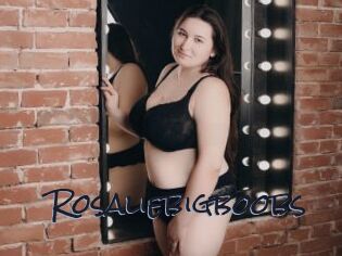 Rosaliebigboobs