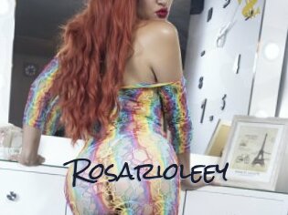 Rosarioleey