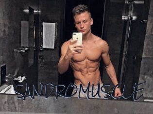 SANDRO_MUSCLE
