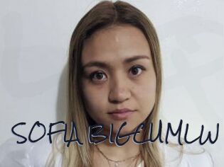 SOFIA_BIGCUMLW