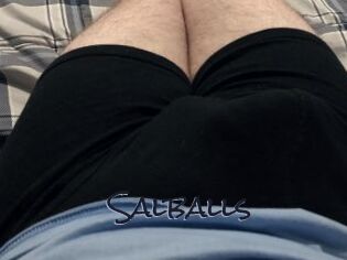 Salballs
