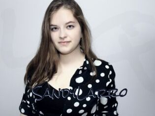 SandyLarro