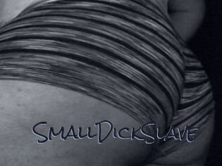 SmallDickSlave