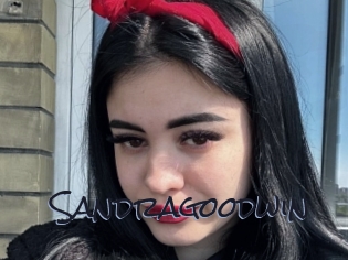 sandragoodwin Liquisexxx