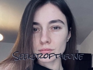 Seekeroftheone