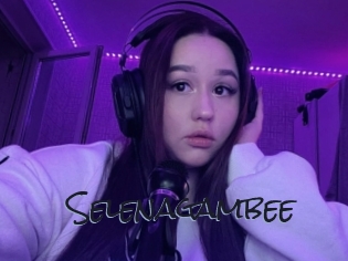 Selenagambee