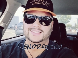 senorgecko Liquisexxx