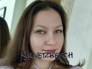 Silverbeech