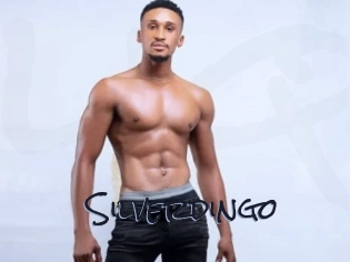 silverdingo Liquisexxx
