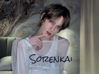 sorenkai Liquisexxx