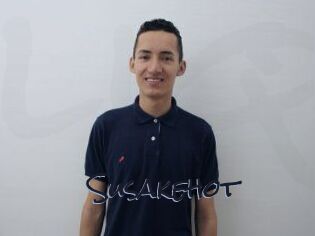 Susakehot
