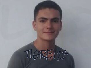 TIGRE_123