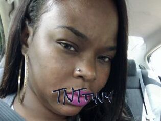 T_N_Ttiny