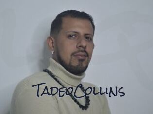 TadeoCollins