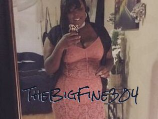 TheBigFine304
