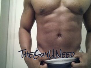TheGuyUNeed