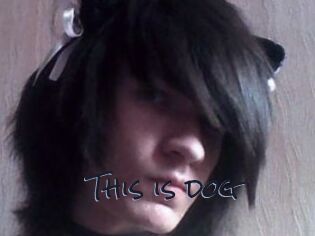 This_is_dog