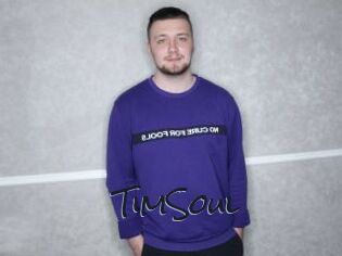 TimSoul