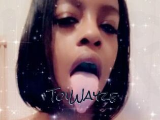 ToiWayze