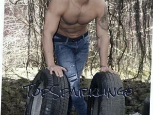 TopSparklingo