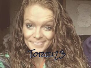 Torri23