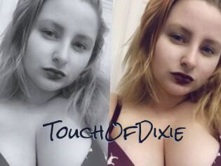 TouchOfDixie