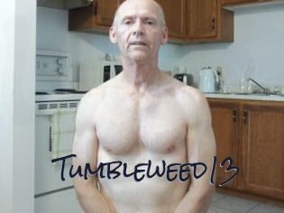 Tumbleweed13 Liquisexxx