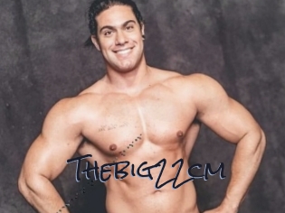 Thebig22cm