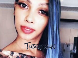 Tijgerin