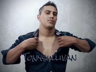 Tonysullivan