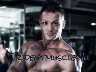 Tridentmuscles4u