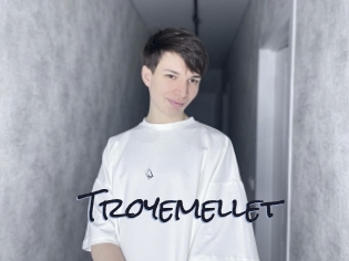 troyemellet Liquisexxx