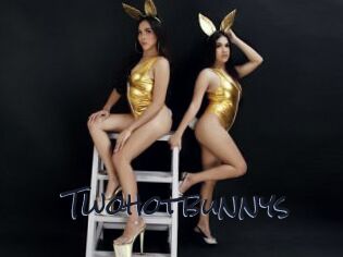Twohotbunnys