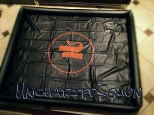 UnchartedSexion